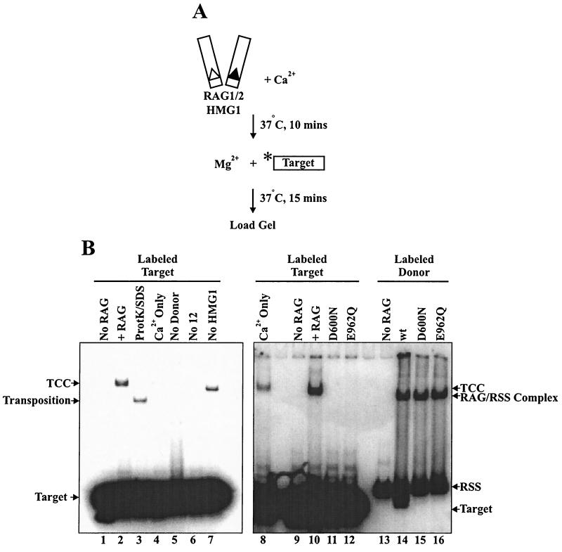 FIG. 7