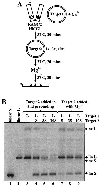 FIG. 5