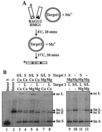 FIG. 6