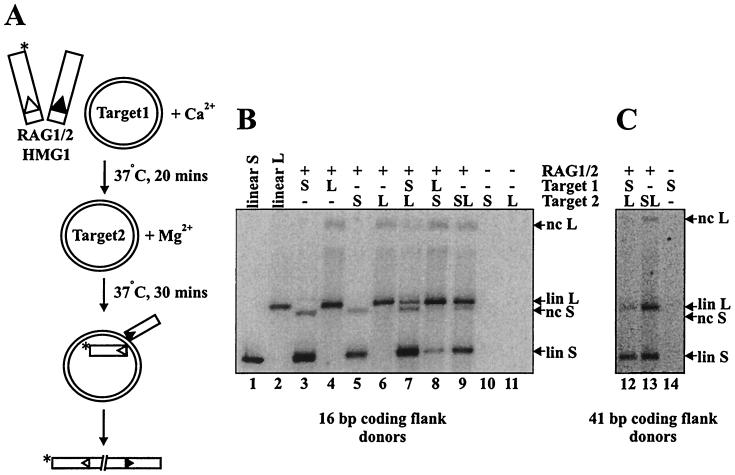 FIG. 1