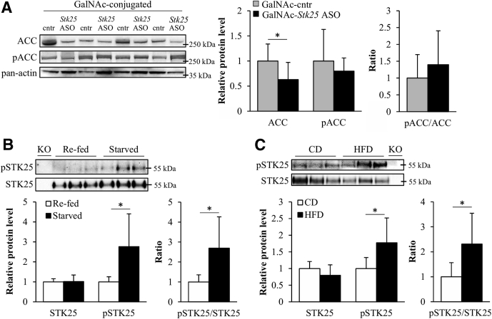 Figure 13