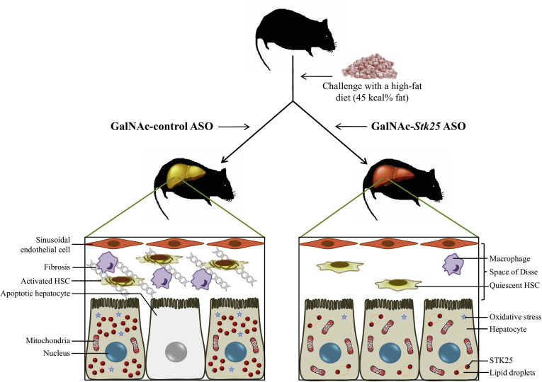 Figure 14