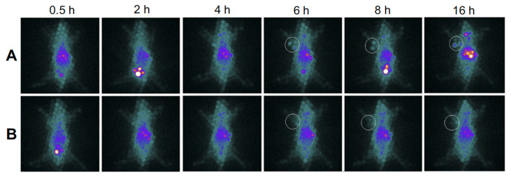 Figure 13
