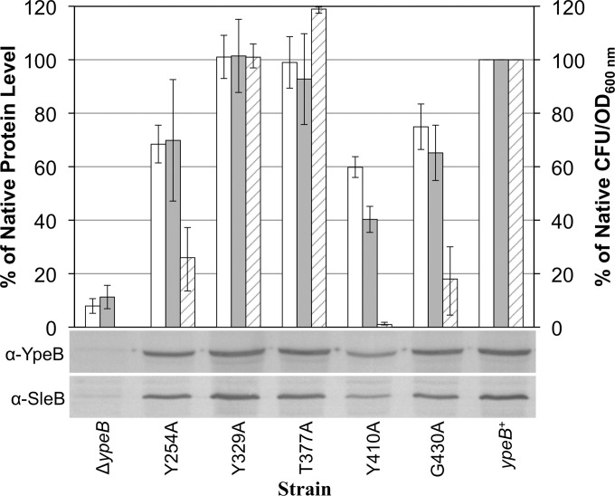 FIG 5