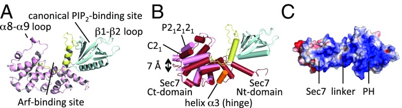 Fig. 1.