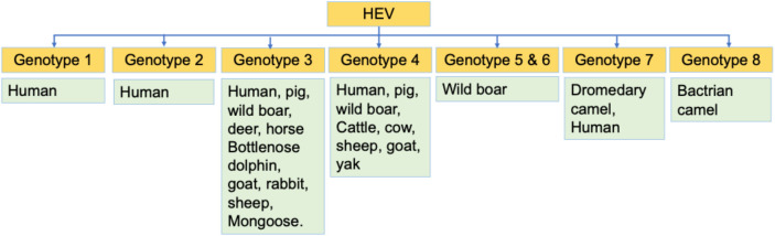 Figure 1.