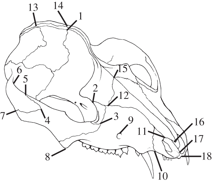 Figure 1.