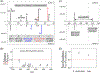 Fig 3.