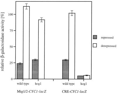 FIG. 7