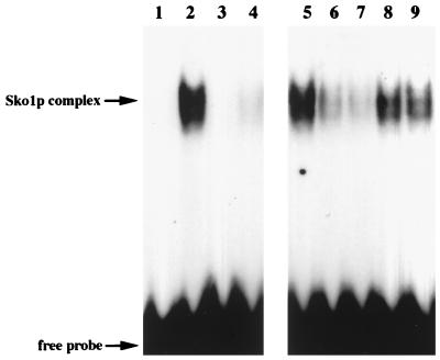 FIG. 5