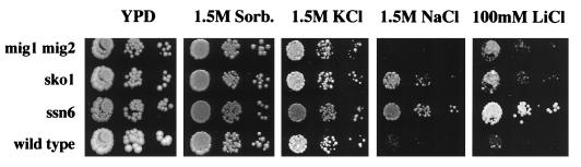 FIG. 9