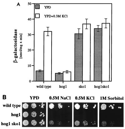 FIG. 8