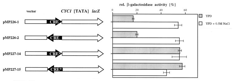 FIG. 6