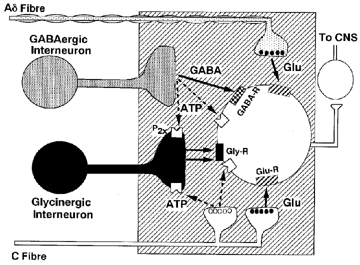 Figure 8