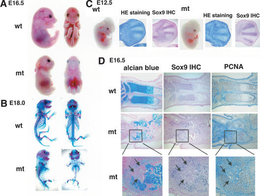 Figure 11.