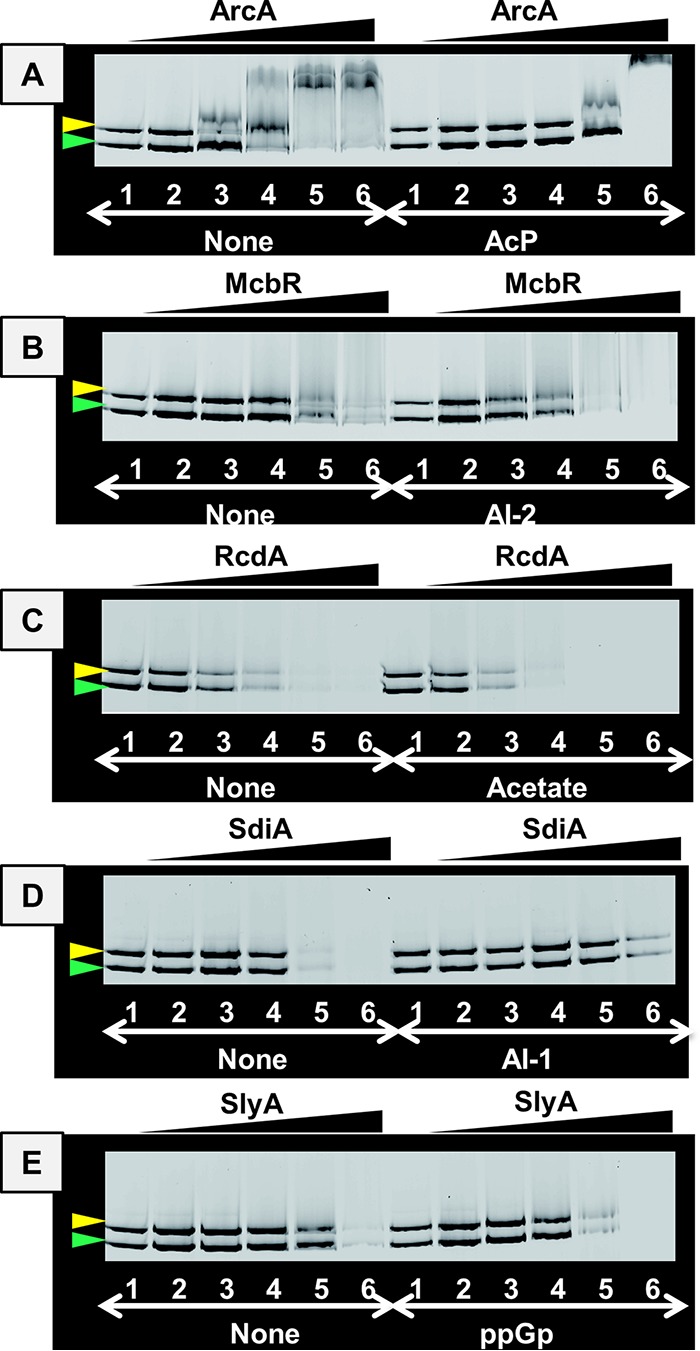 FIG 4