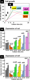 FIG 6