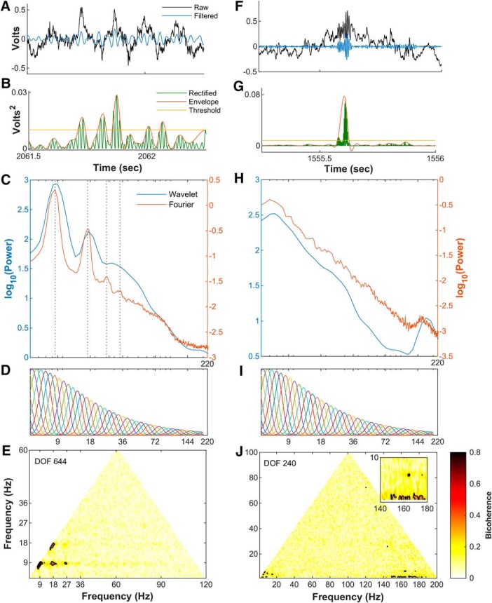 Figure 13.