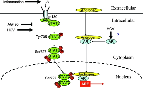 FIG. 6.