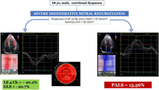 Fig. 1