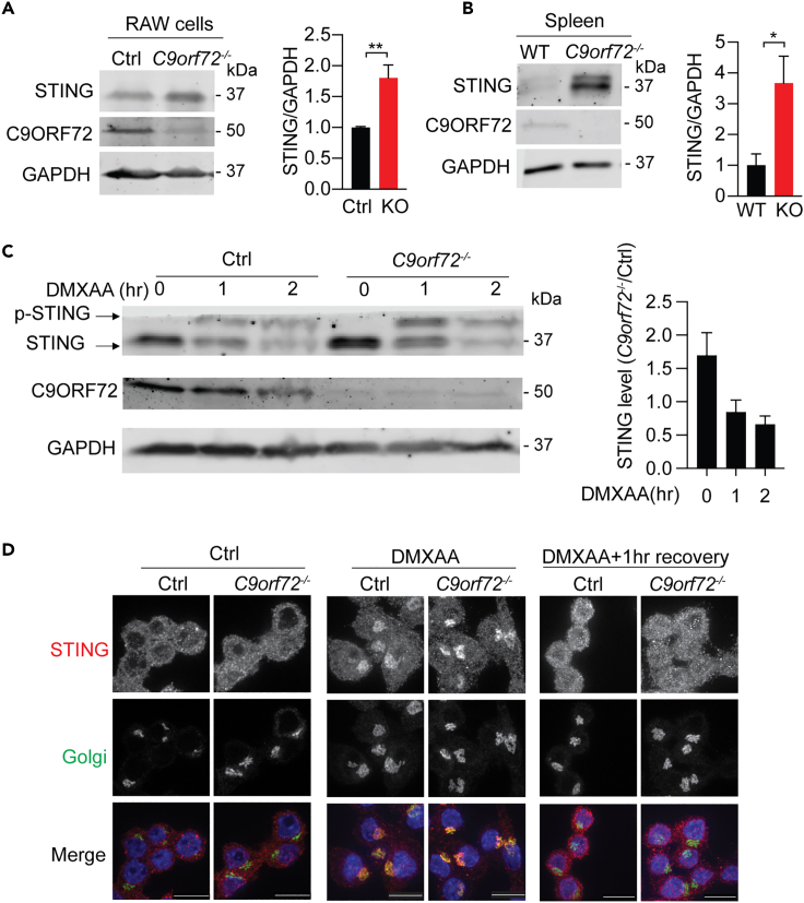 Figure 2