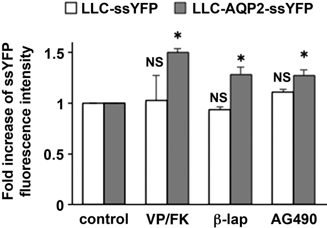 Fig. 7.