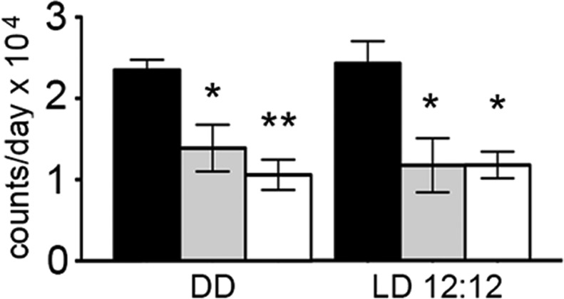 Figure 2—figure supplement 3.