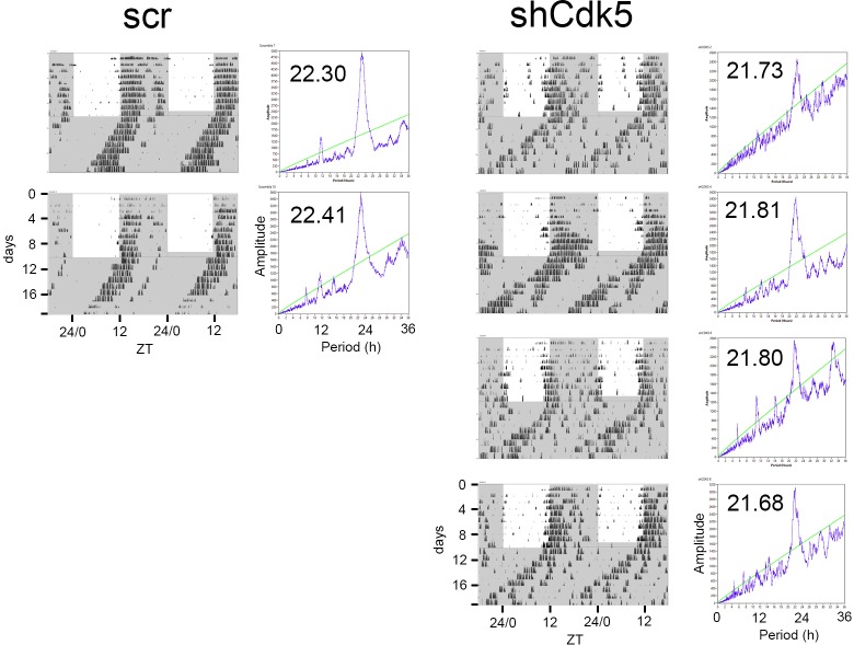 Figure 2—figure supplement 5.