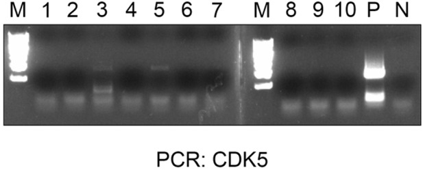 Figure 6—figure supplement 2.