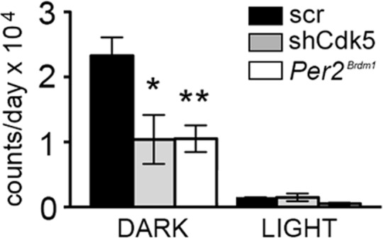 Figure 2—figure supplement 4.