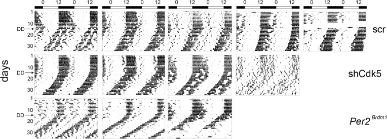 Figure 2—figure supplement 2.