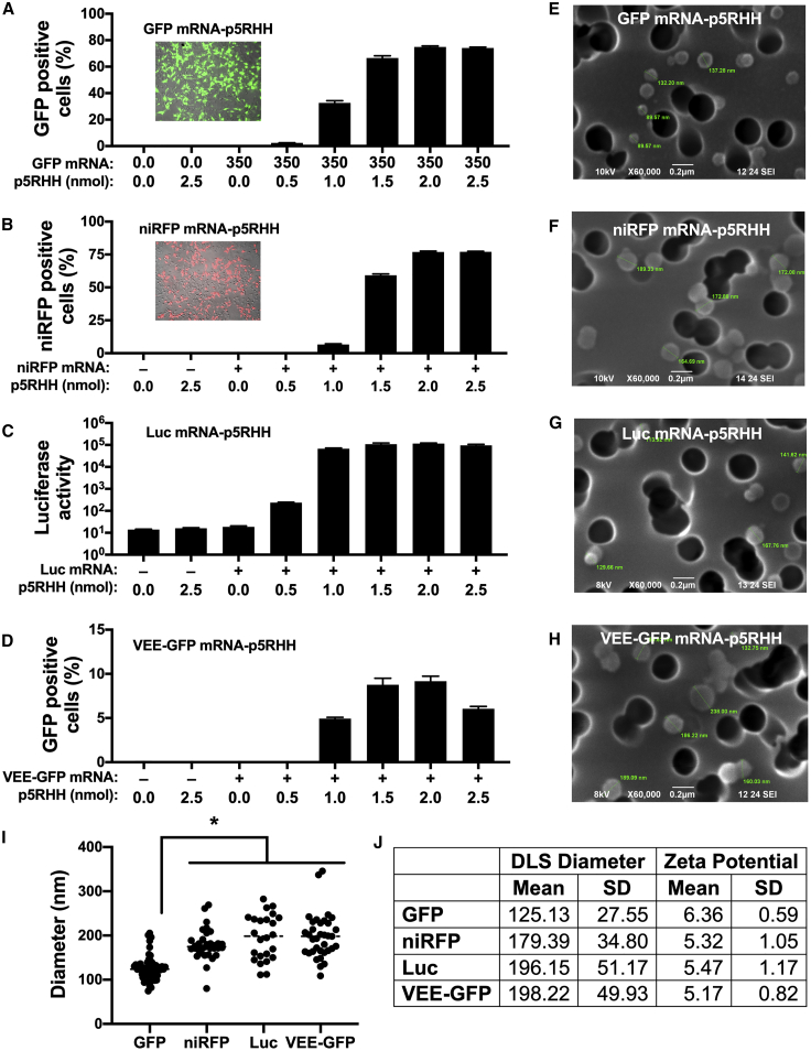 Figure 2