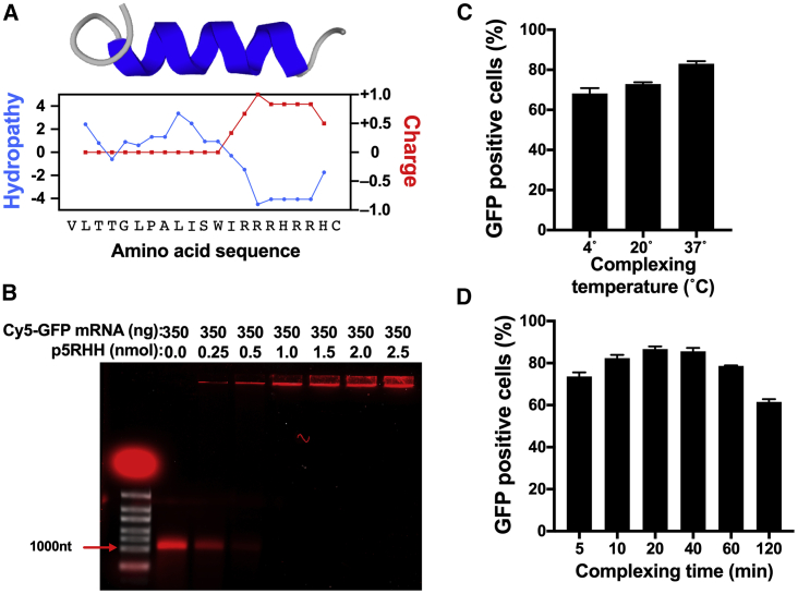 Figure 1