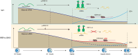Graphical Abstract