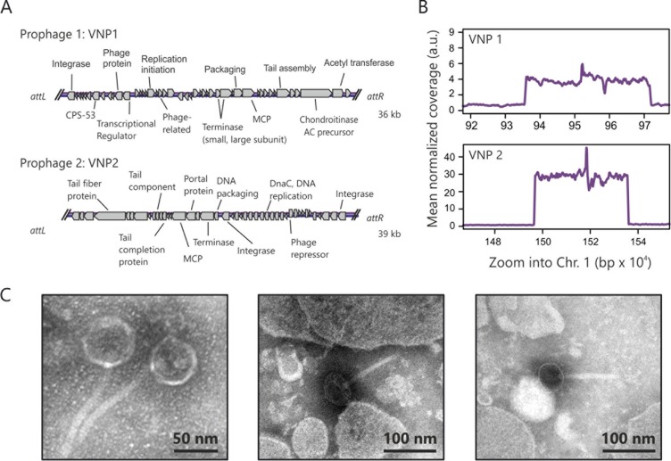 FIG 1