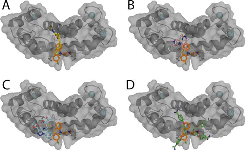 Figure 7