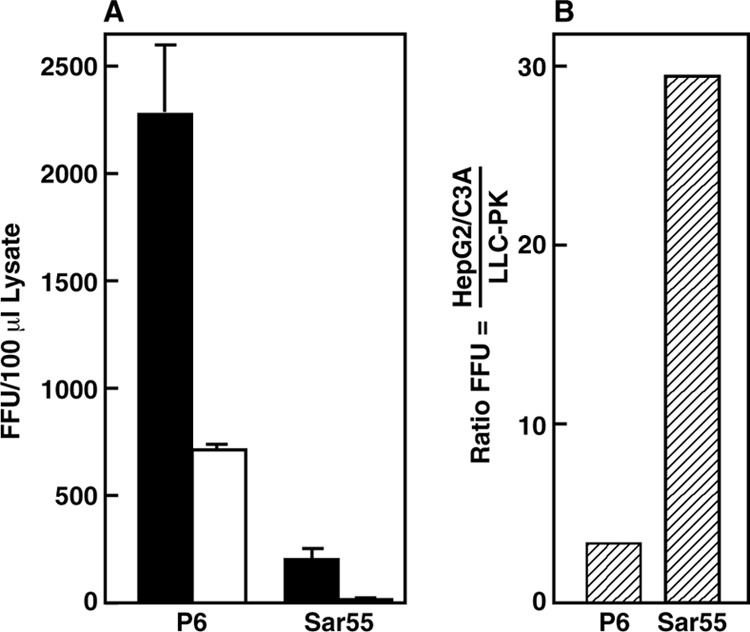 FIG 1