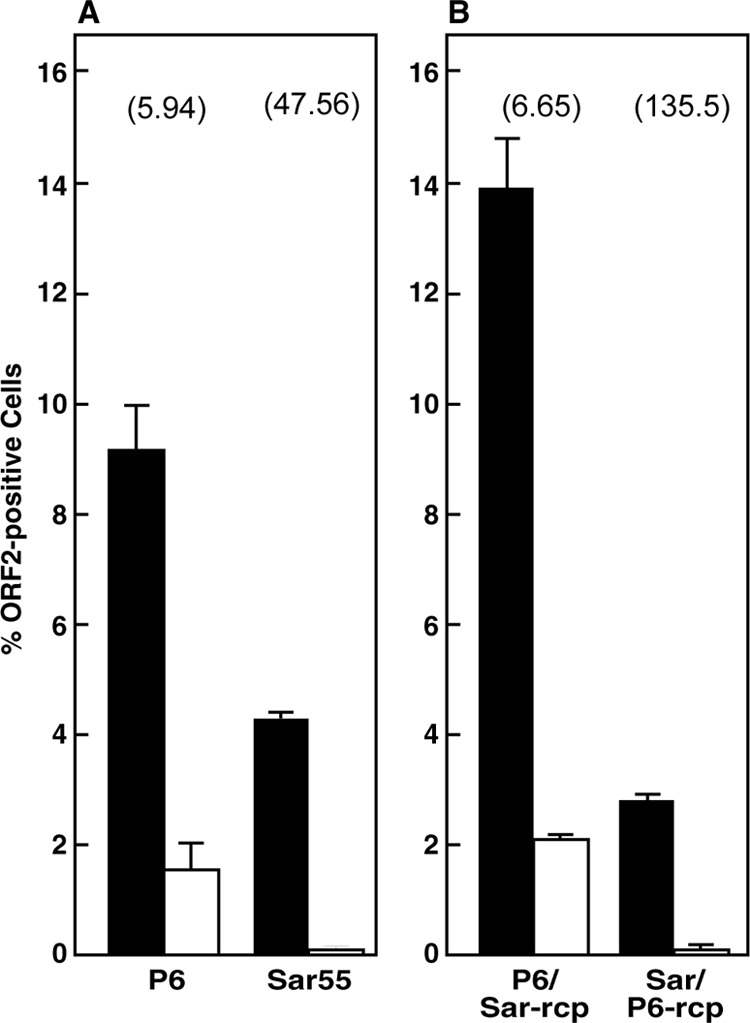 FIG 2