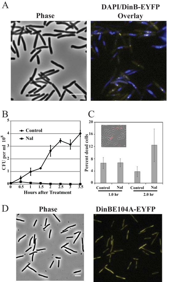 FIG 2