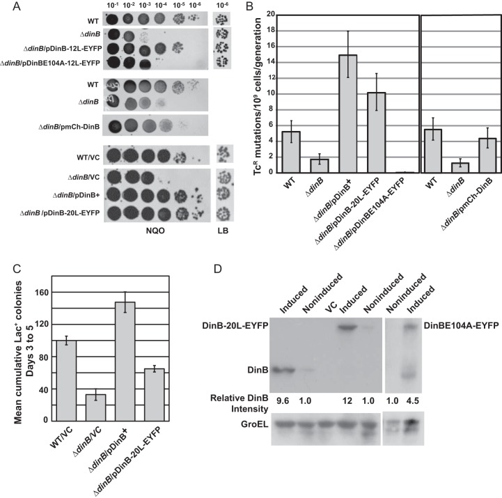 FIG 1