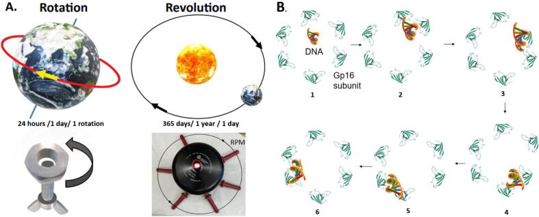 Fig. 2