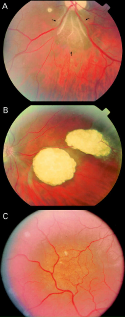 Figure 1  