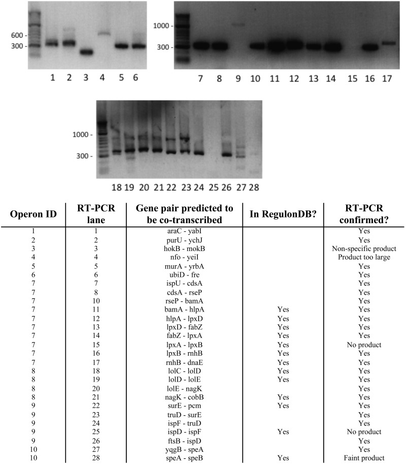 Figure 6.