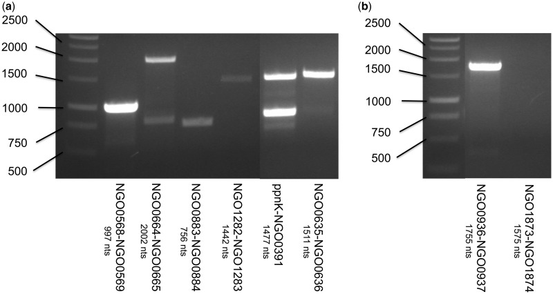 Figure 7.