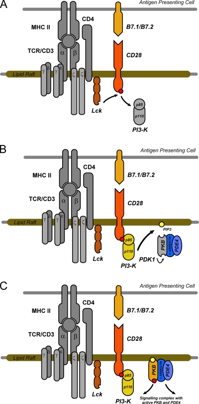 FIG. 7.