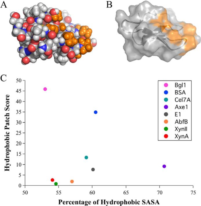 FIGURE 1.