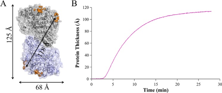 FIGURE 5.