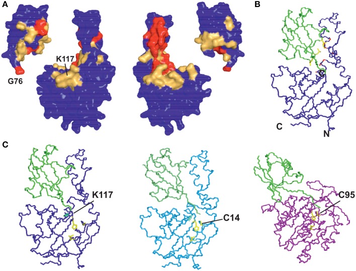 Figure 5