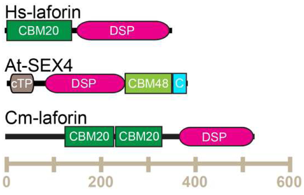 Figure 1: