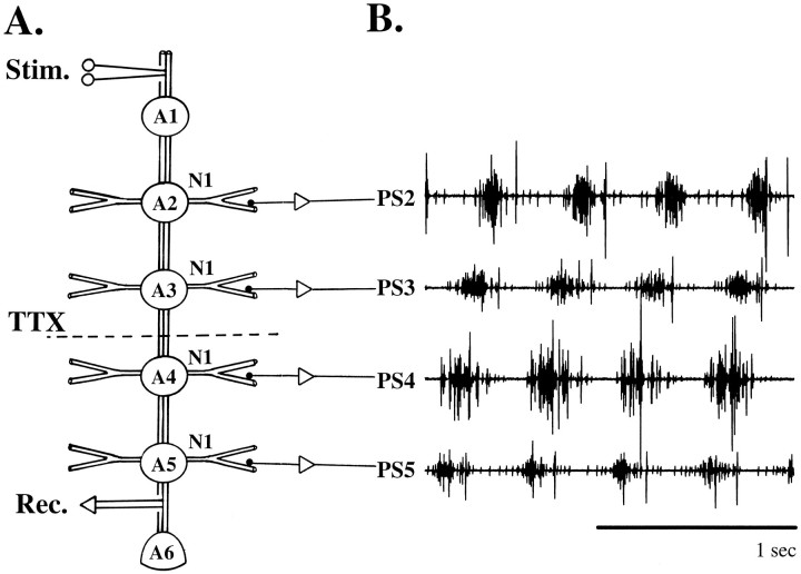 Fig. 1.